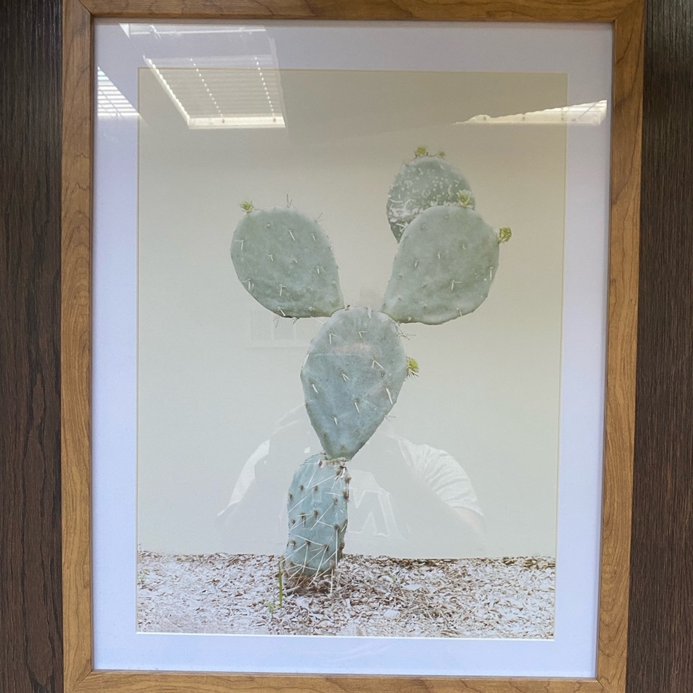 Cactus print